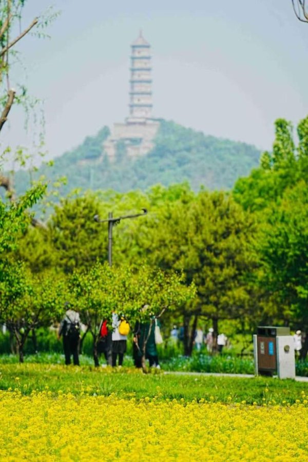 富瑞众投 京城拍客今日精选｜满目金黄香百里 一方春色醉千山
