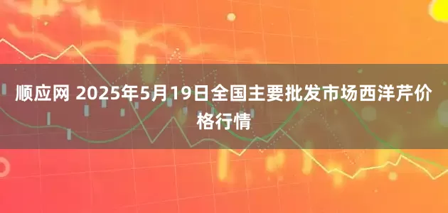 顺应网 2025年5月19日全国主要批发市场西洋芹价格行情