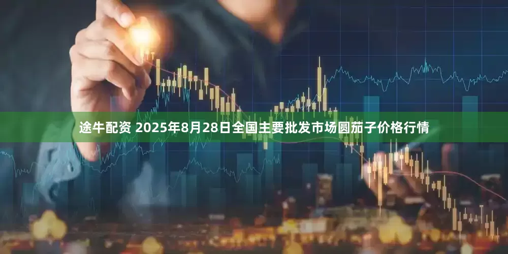 途牛配资 2025年8月28日全国主要批发市场圆茄子价格行情